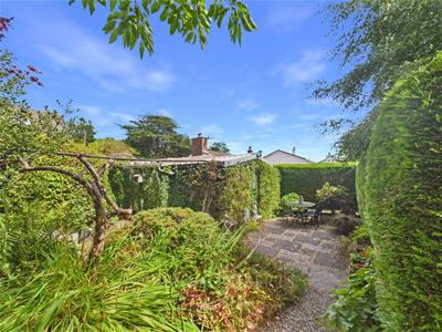 Picture 64